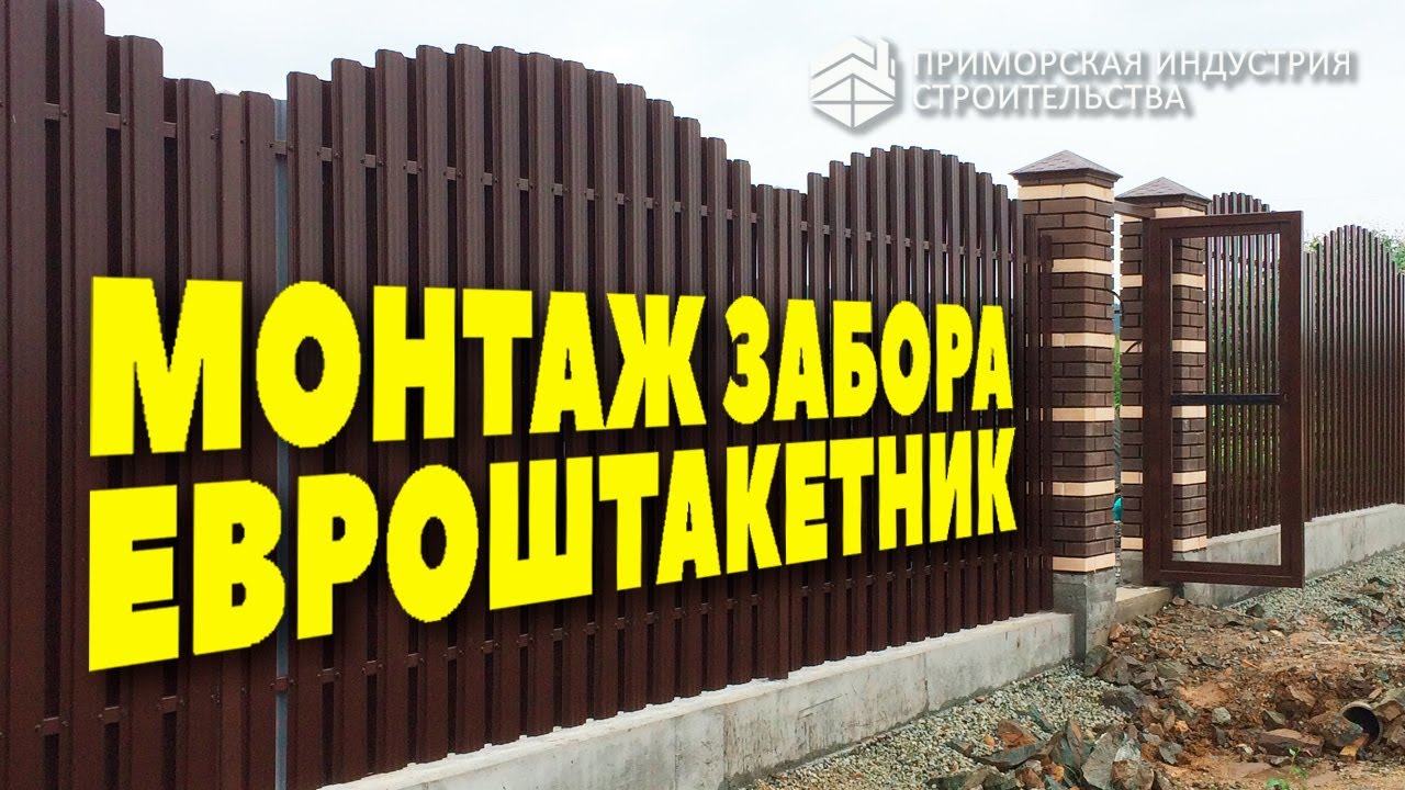 Забор из евроштакетника | Металлоштакетник | Строительство и ремонт
